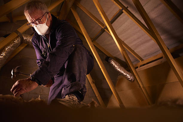 Types of Insulation We Offer in Frederic, WI