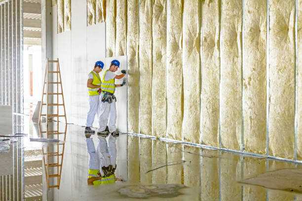 Best Spray Foam Insulation in Frederic, WI